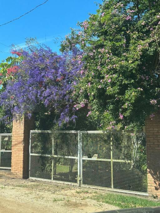 Sitio Beija Flor Em Sao Roque Villa Eksteriør billede