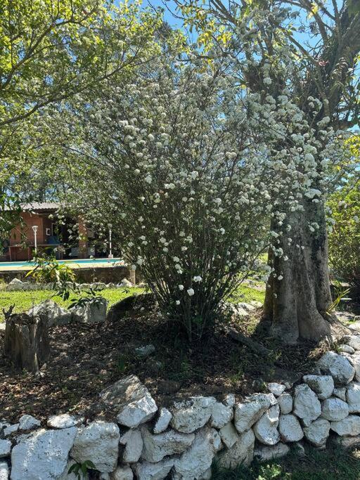 Sitio Beija Flor Em Sao Roque Villa Eksteriør billede